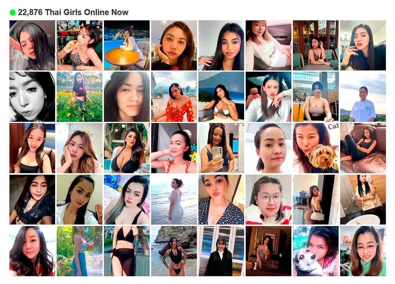 ThaiFriendly Member Profile Search Interface