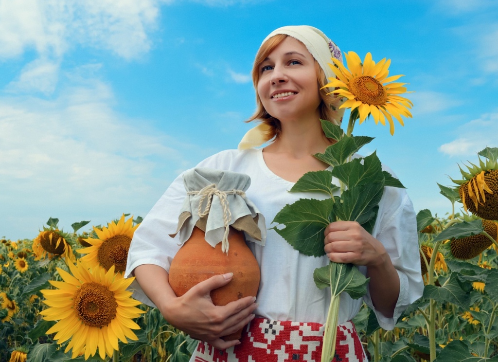 Radiant Ukrainian woman in embroidered traditional blouse holding a clay pitcher in a sunflower field
